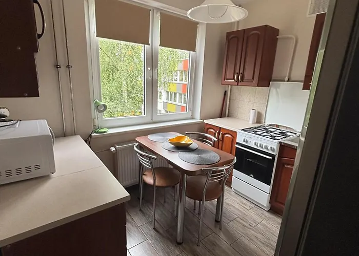 Apartamento 1 In Statybininku Pr.