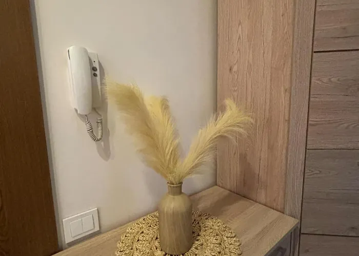 1 In Statybininku Pr. Apartamento Klaipėda